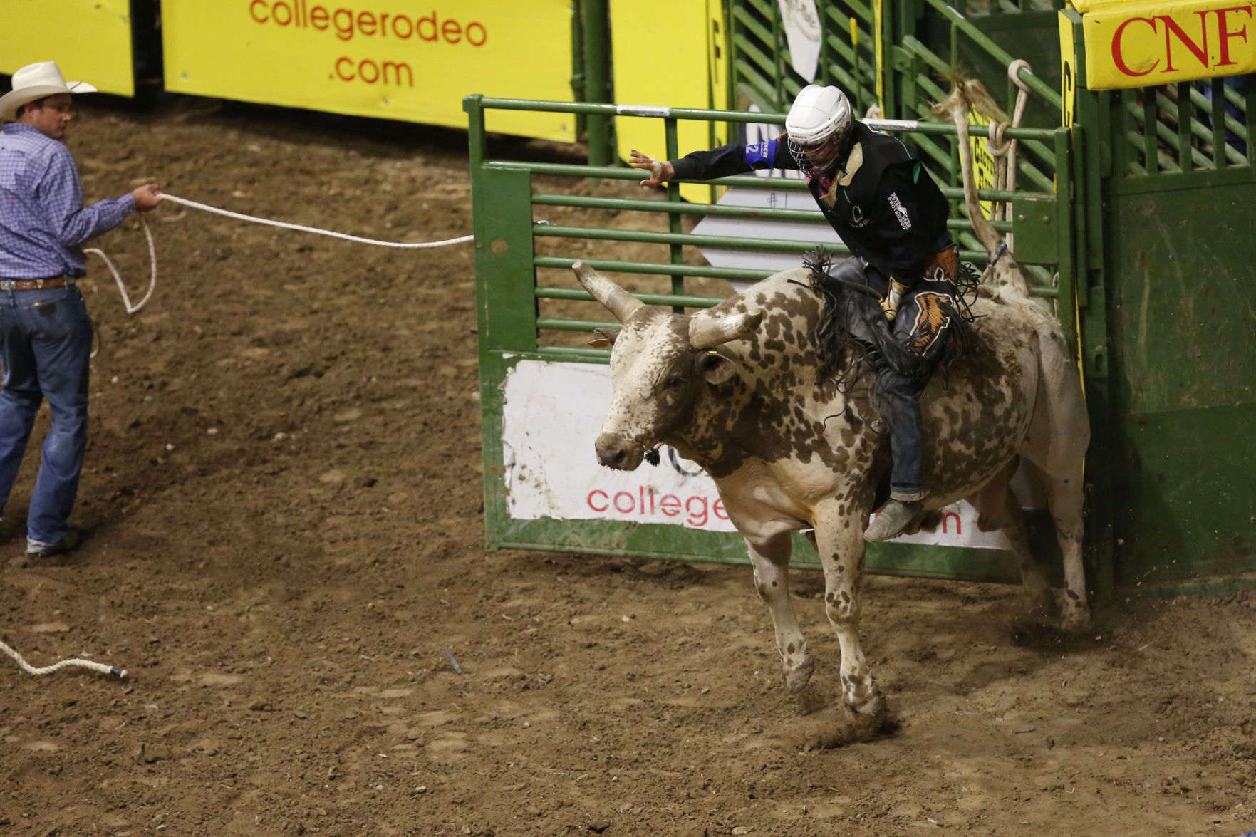 CNFR
